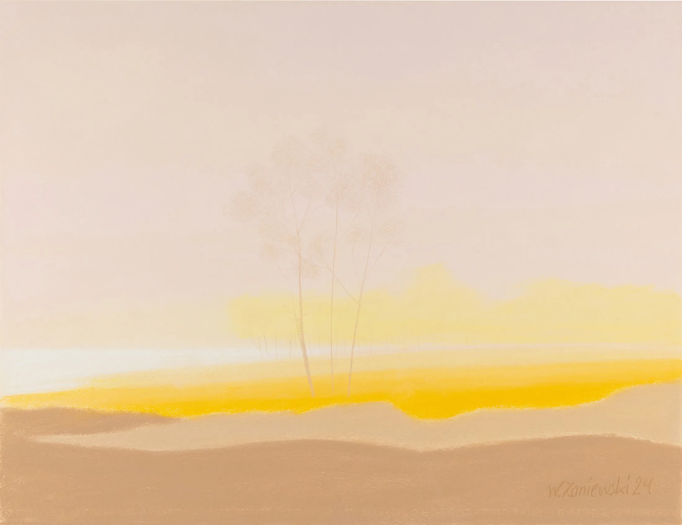 Pastel – z cyklu Wydmy 2024, 50 x 65 cm