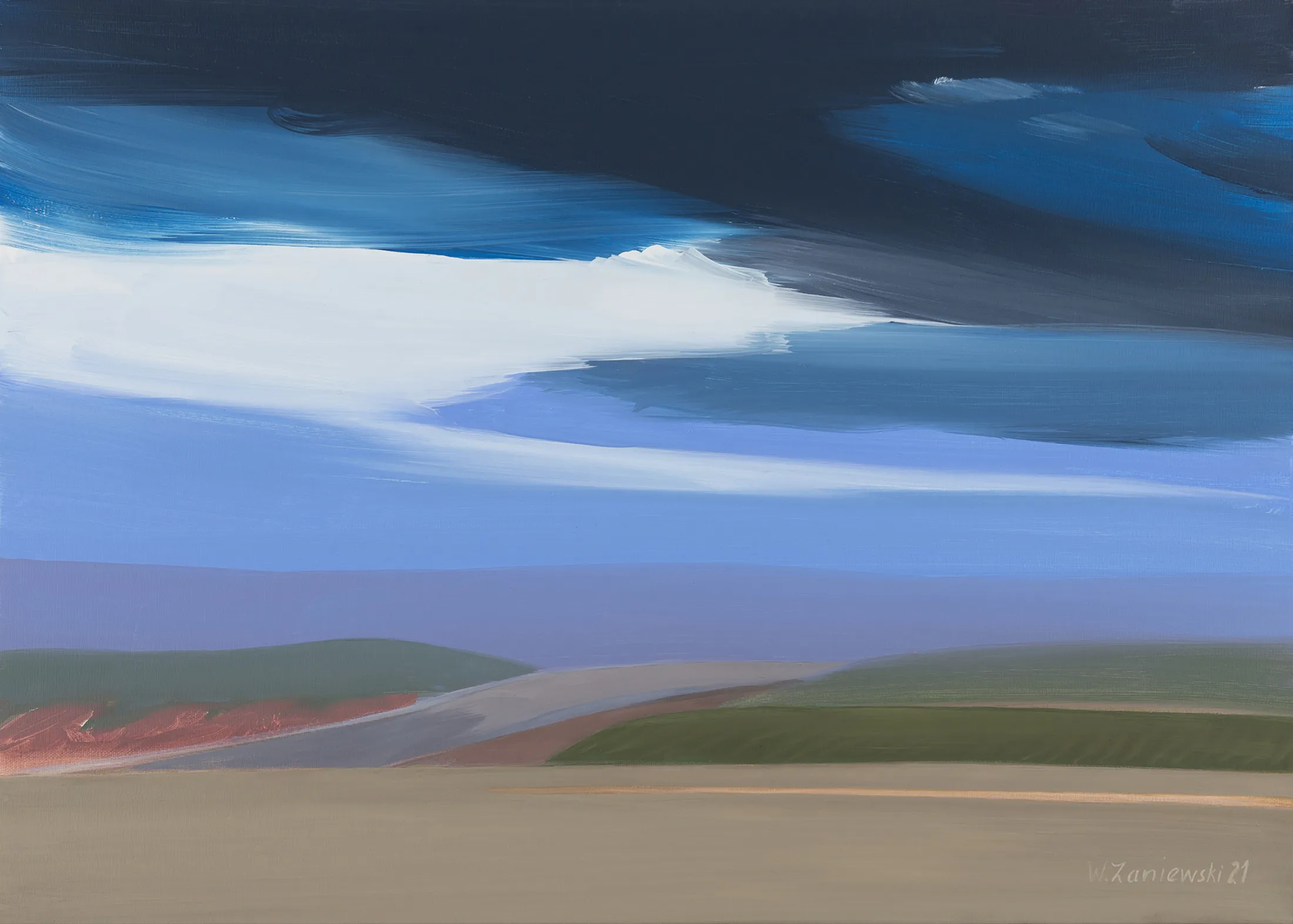 Z cyklu Łąki 2021, olej 50 x 70 cm