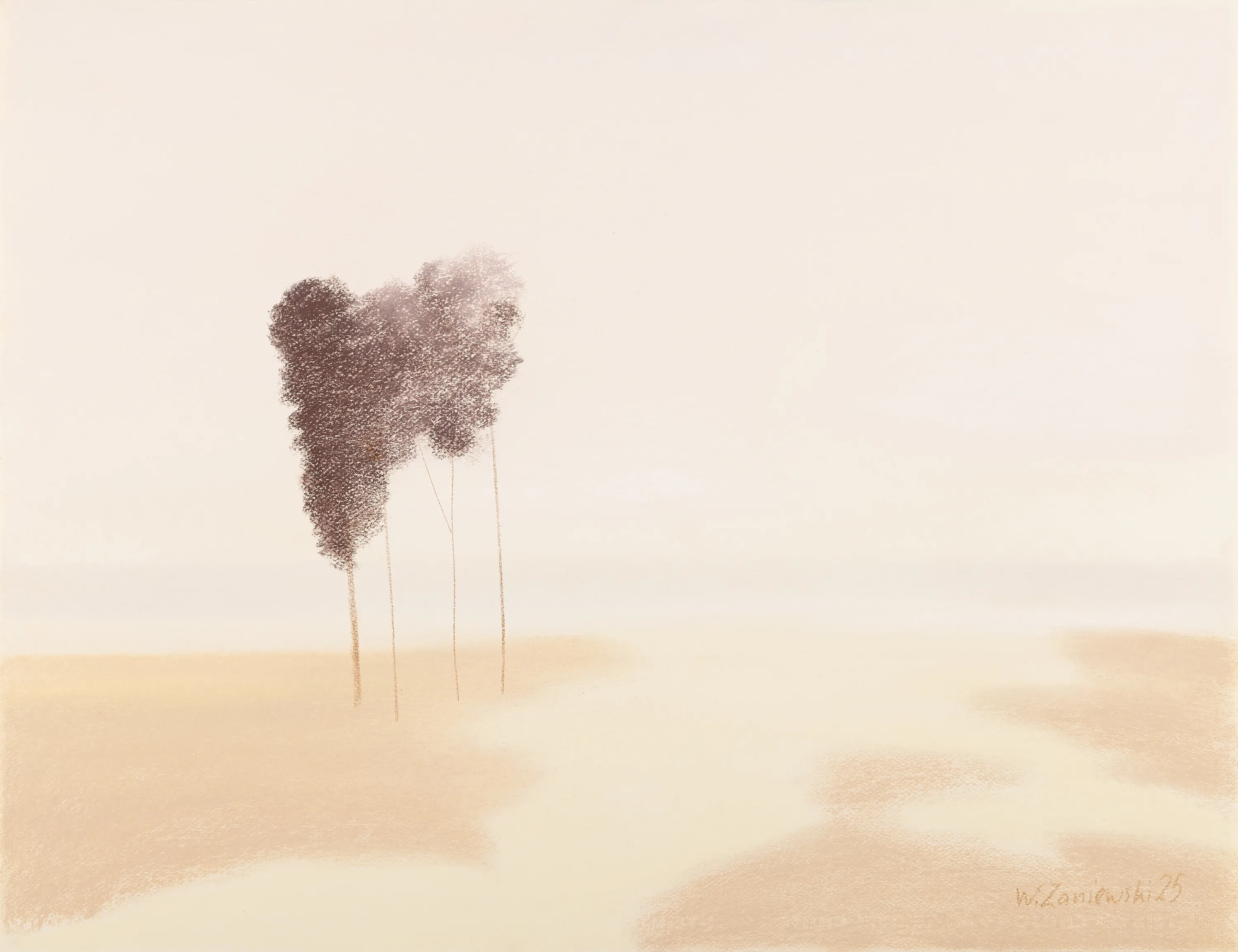 Pastel – z cyklu Wydmy 2025, 50 x 65 cm