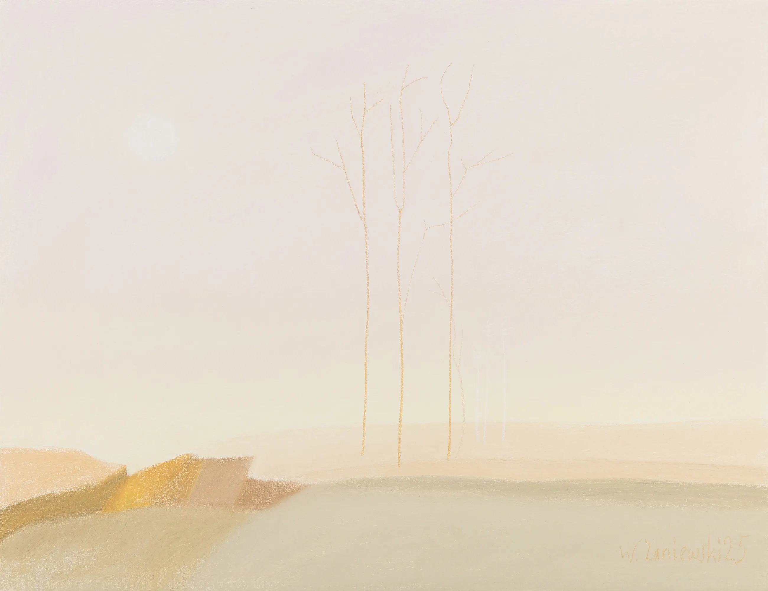 Pastel – z cyklu Wydmy 2025, 50 x 65 cm
