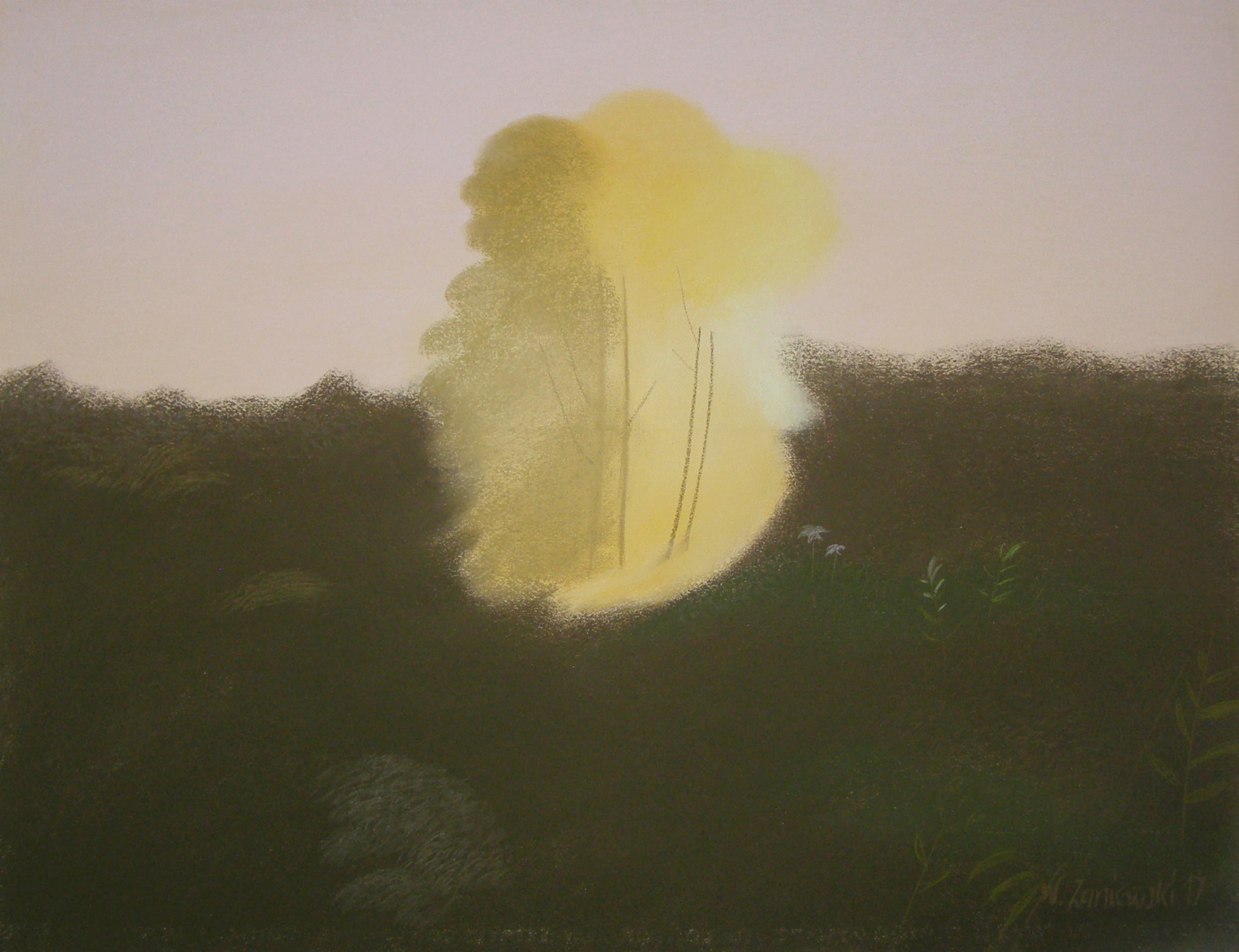 Pastel – z cyklu Łąki 2017, 49 x 64 cm